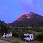 Alpine *