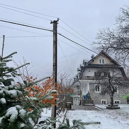 Alpine Guest house