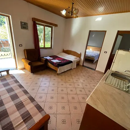Alpine Guest house *