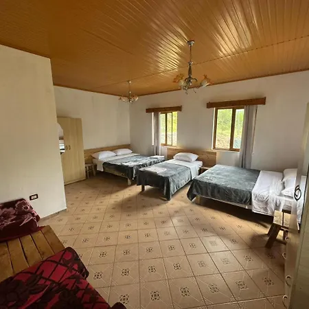 Guest house Alpine *