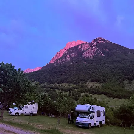 Alpine *