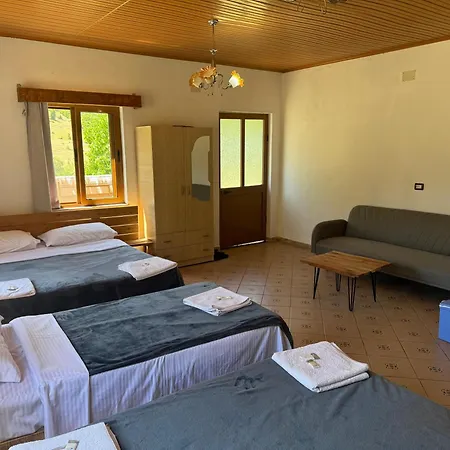 Casa de hóspedes Alpine *