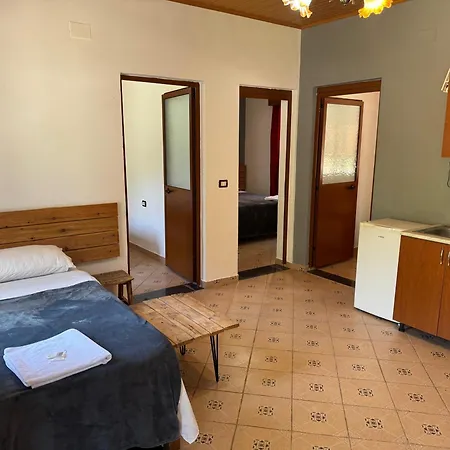 Alpine Guest house Boge