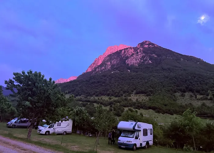 Alpine *